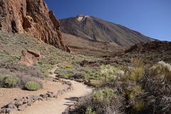 Der Teide